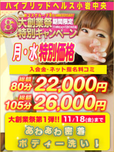 16_ハイブリッド_小岩8周年個別300-400-